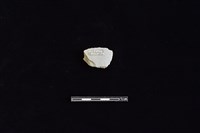 磨製石器藏品圖，第2張